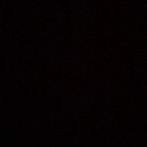 Meet your Posher, Jasmin akiko